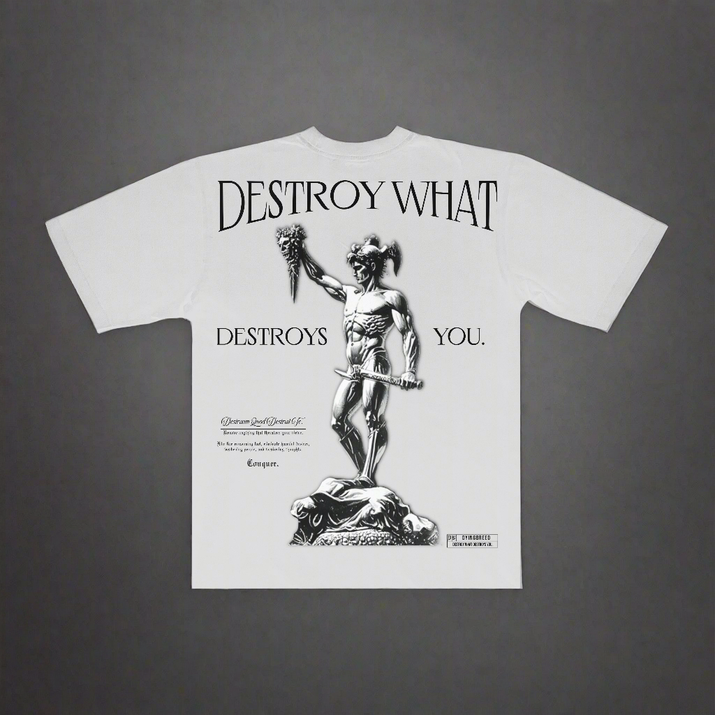 DESTROY WHAT DESTROYS YOU - Oversize Tee