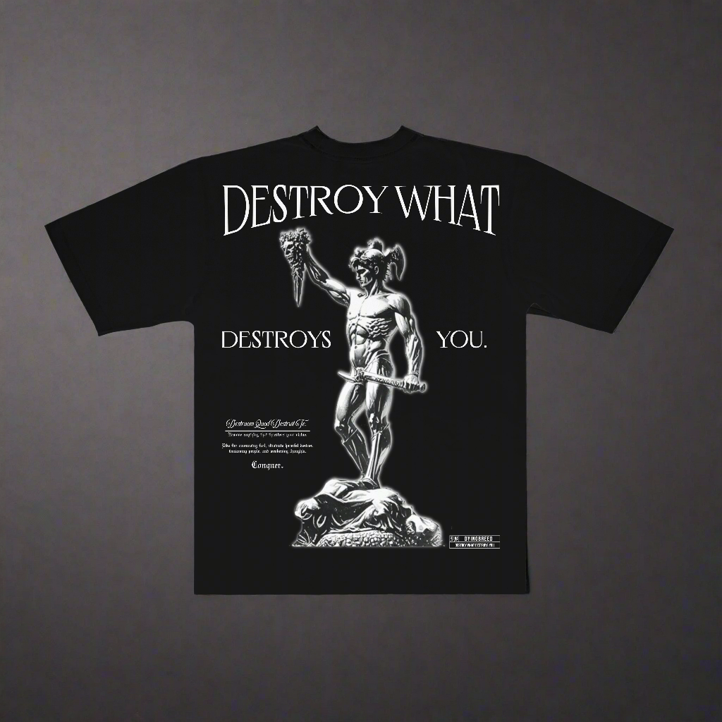 DESTROY WHAT DESTROY YOU - Oversize Tee