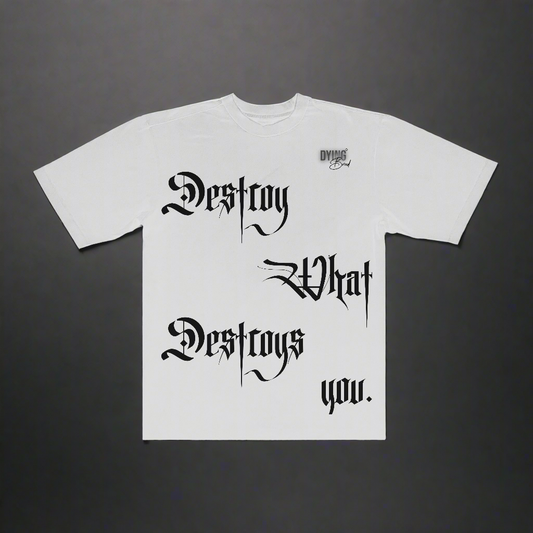 DESTROY WHAT DESTROYS YOU - Oversize Tee