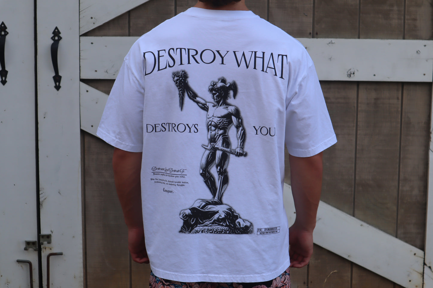 DESTROY WHAT DESTROYS YOU - Oversize Tee