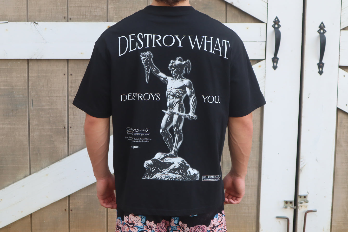 DESTROY WHAT DESTROY YOU - Oversize Tee